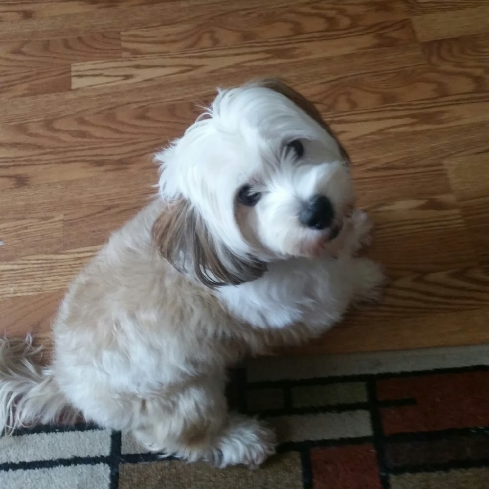 Meet your Posher, Uz